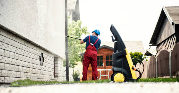Best Gutter Cleaning  in Fowlerville, MI
